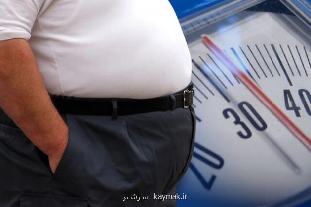 کدام رژیم های غذایی ممکن است موجب چاقی شوند؟