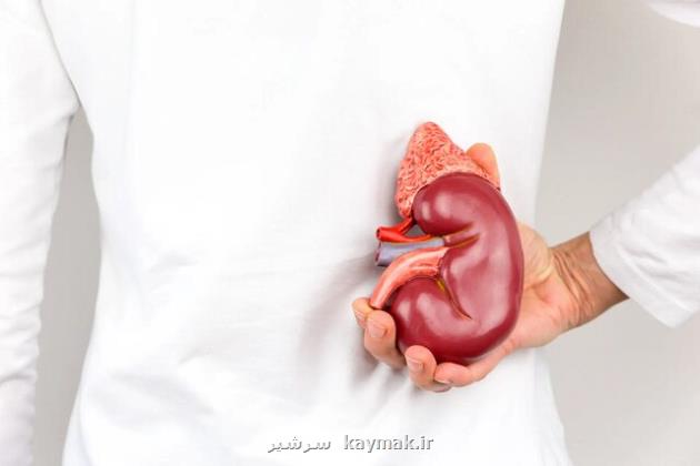 گرما و کم آبی بدن، خطری خاموش برای کلیه ها