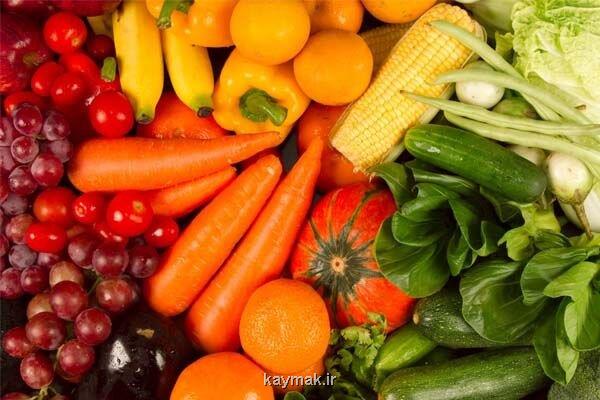 ورود فرهنگستان علوم پزشکی به پرونده محصولات تراریخته