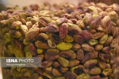 تاثیر مصرف پسته در شب بر میکروبیوم روده در مبتلایان پیش دیابت