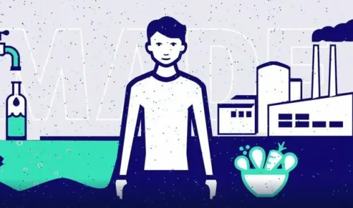 4 وسیله رایج در منزل که برای سلامتی مضرند