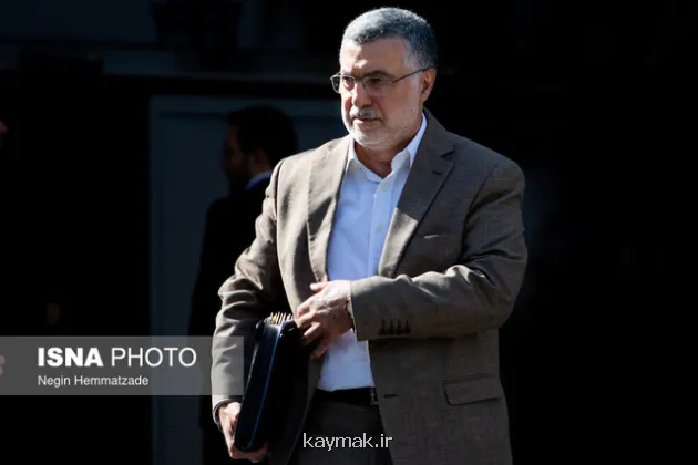 ظفرقندی: سهم ارز دارویی بیشتر می شود