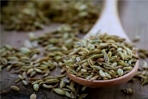 آیا رازیانه سبب افزایش شیرمادر می شود