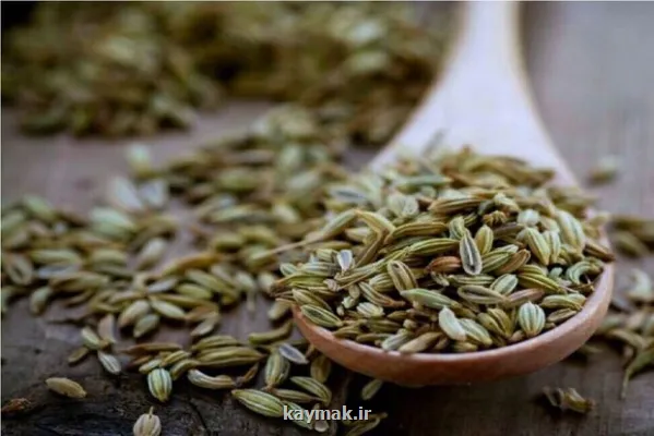 آیا رازیانه سبب افزایش شیرمادر می شود