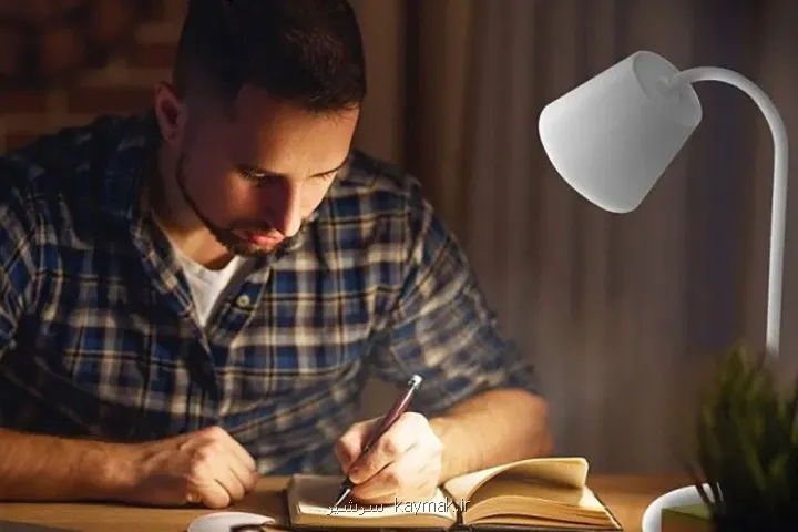 آیا کتاب خواندن مغز انسان را تغییر می دهد؟