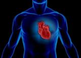 مواد خوراكی مفید برای سلامت قلب را بشناسیم