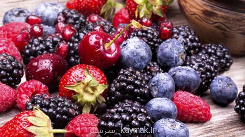 خوردن انواع توت به پیشگیری از سرطان كمك می نماید