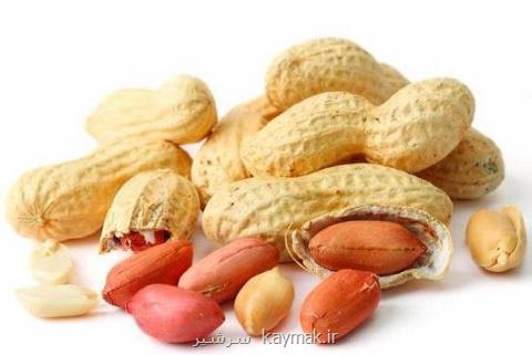تاثیر مصرف بادام زمینی و نخود در بهبود فشارخون و كاهش كلسترول