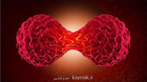 عوامل زمینه ساز مبتلا شدن به تومورهای سر و گردن