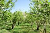 وضعیت باقیمانده سموم در سفره غذایی مردم، بررسی۲۴نوع محصول كشاورزی