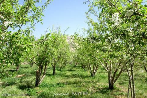 وضعیت باقیمانده سموم در سفره غذایی مردم، بررسی۲۴نوع محصول كشاورزی