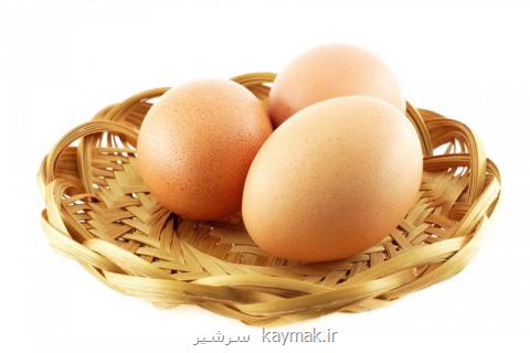 مواد خوراكی سرشار از اسید فولیك را بشناسیم