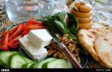 شروع به كار سومین كنگره بین المللی و پانزدهمین كنگره ملی تغذیه