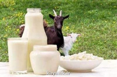 شیر بز برای سلامت روده نوزاد مفید می باشد