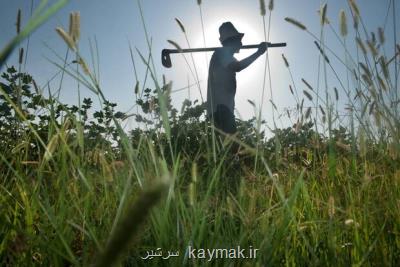 آگهی فائو درباره تأثیرات تغییر اقلیم بر امنیت غذایی