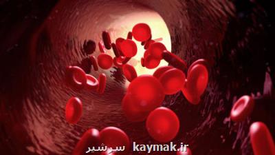 چگونه با كم خونی مقابله كنیم؟
