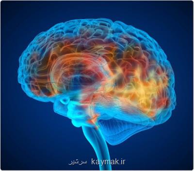 غلبه بر آلزایمر با تسكین التهاب مغز