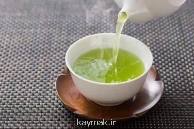 تأثیر عصاره چای سبز در مقابله با فیبروز ریوی